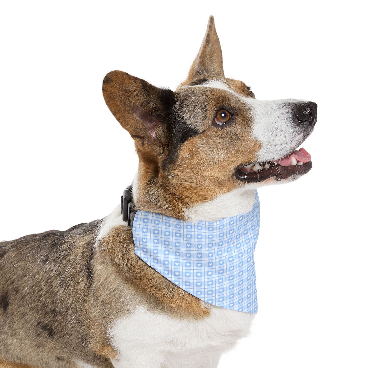Sky Blue Serenity Collar-Bandana