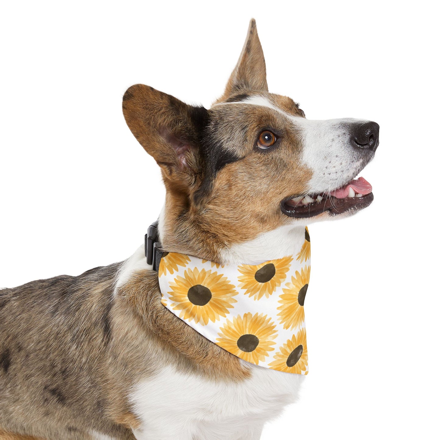 Sunny pup Collar-Bandana