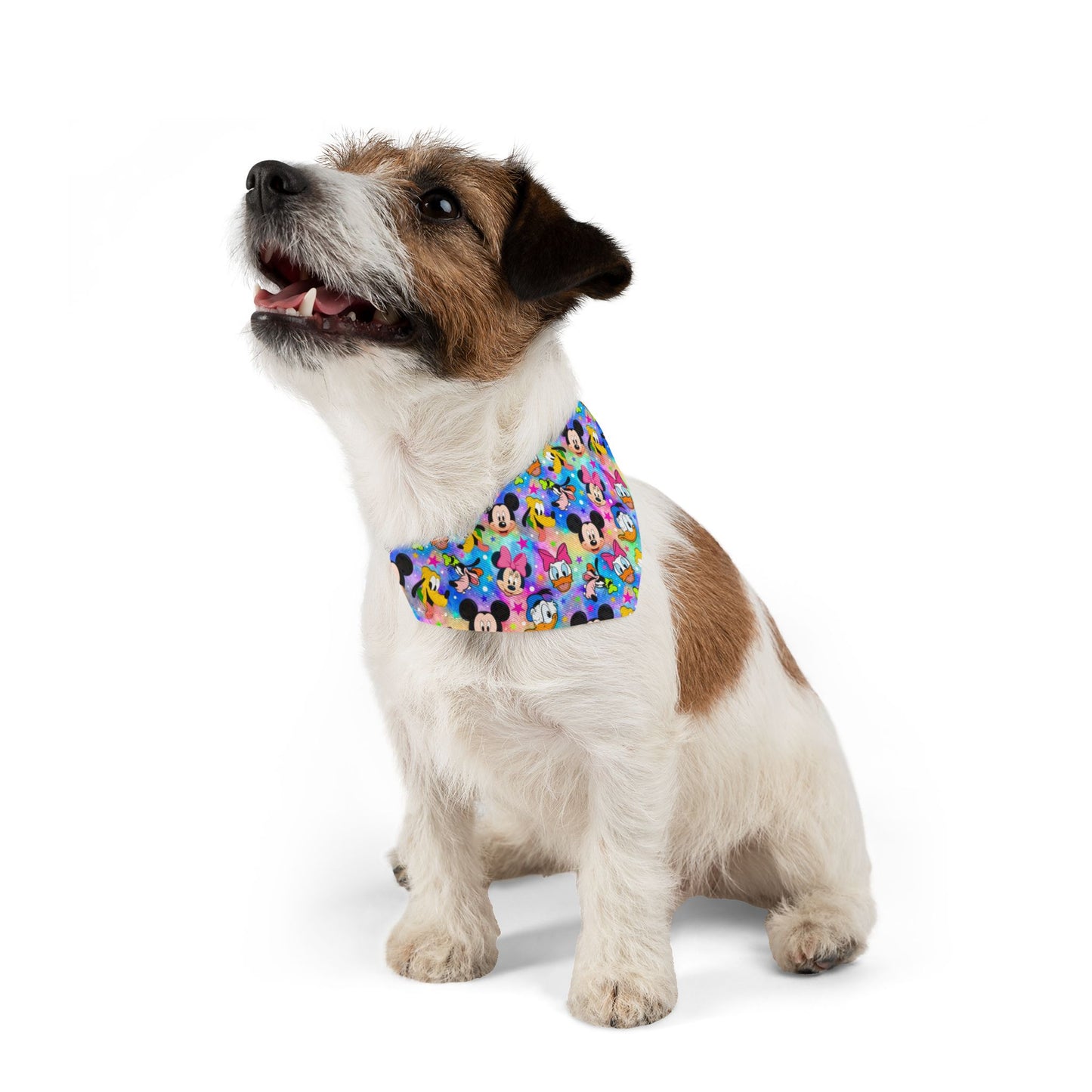 Disney Vibe Collar-Bandana