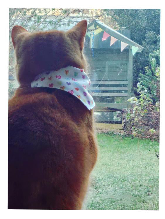 Heartfelt Love Collar-Bandana