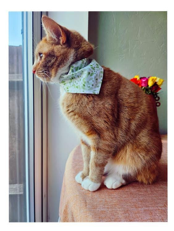Leafy Whisper Collar-Bandana