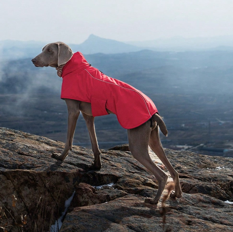 Puffletail All-Weather Adventure Coat - RED