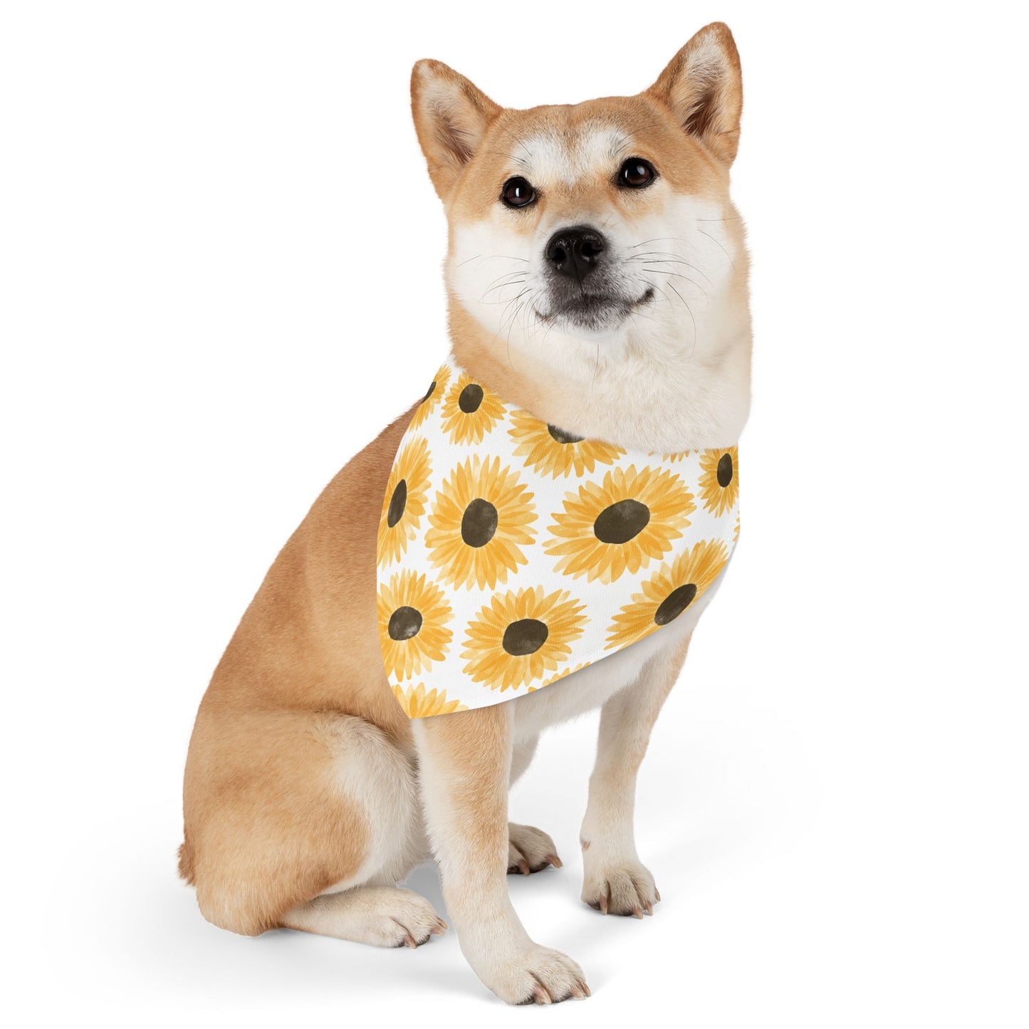Sunny pup  Collar-Bandana