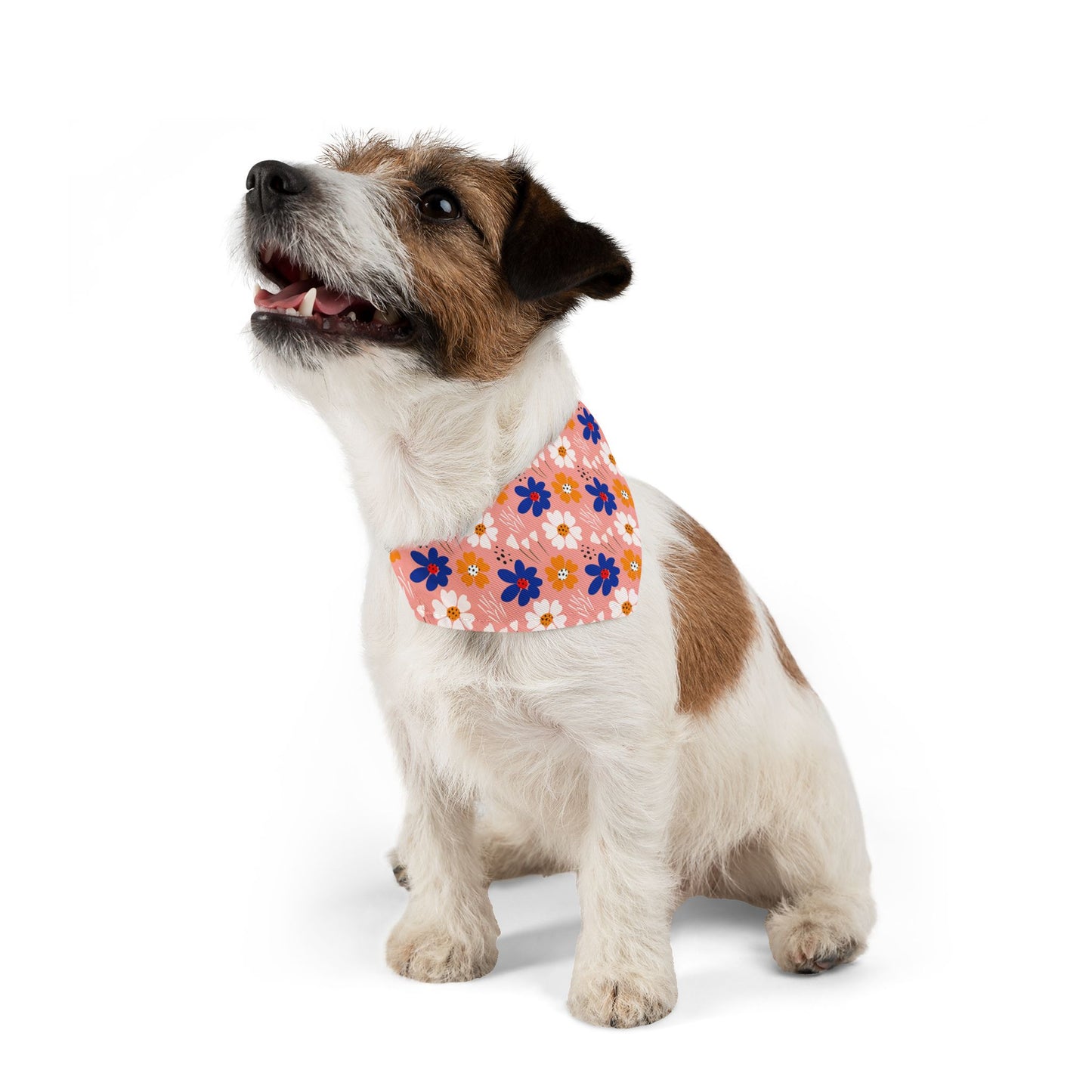 Spring Vibe Collar-Bandana