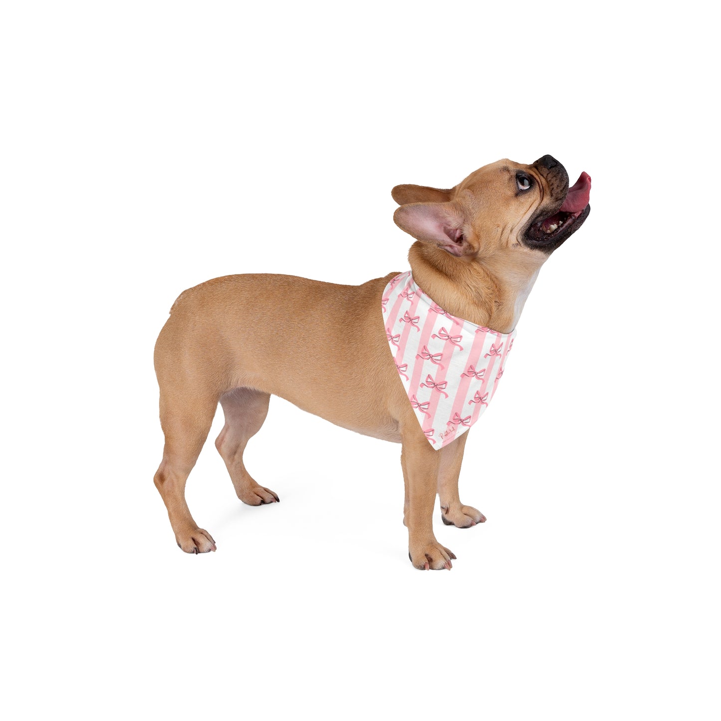 Blush Bow Bandana