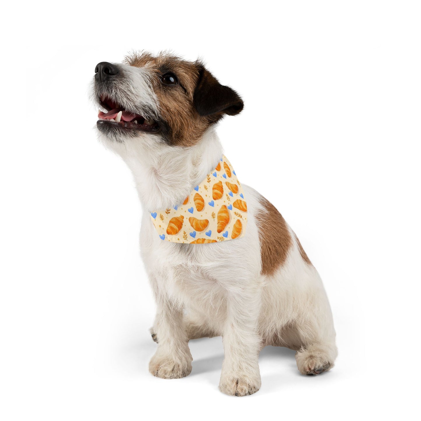 Croissant Collar-Bandana