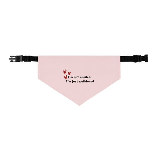 💖 Well-Loved Collar-Bandana