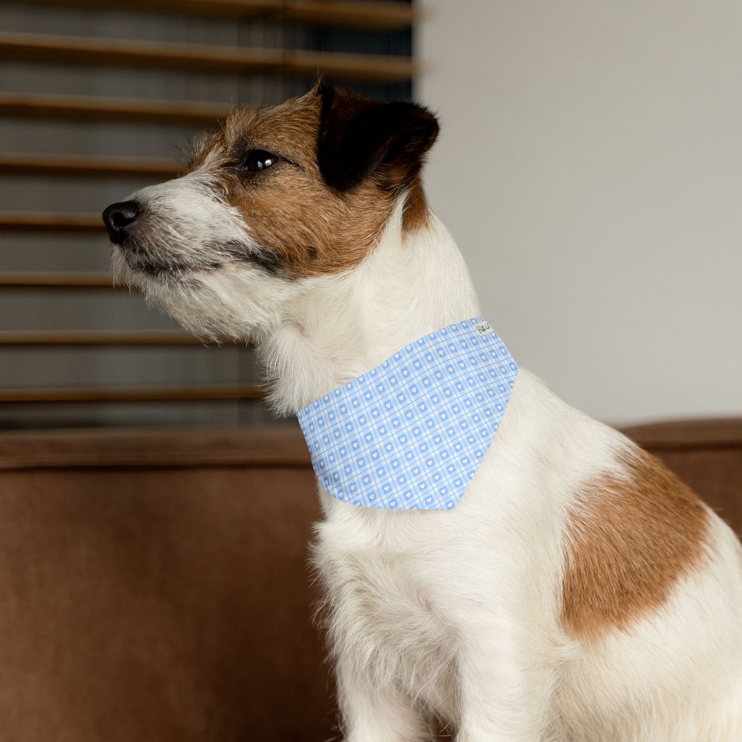 Sky Blue Serenity Collar-Bandana