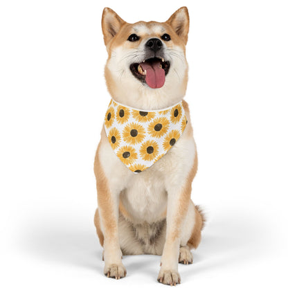 Sunny pup  Collar-Bandana