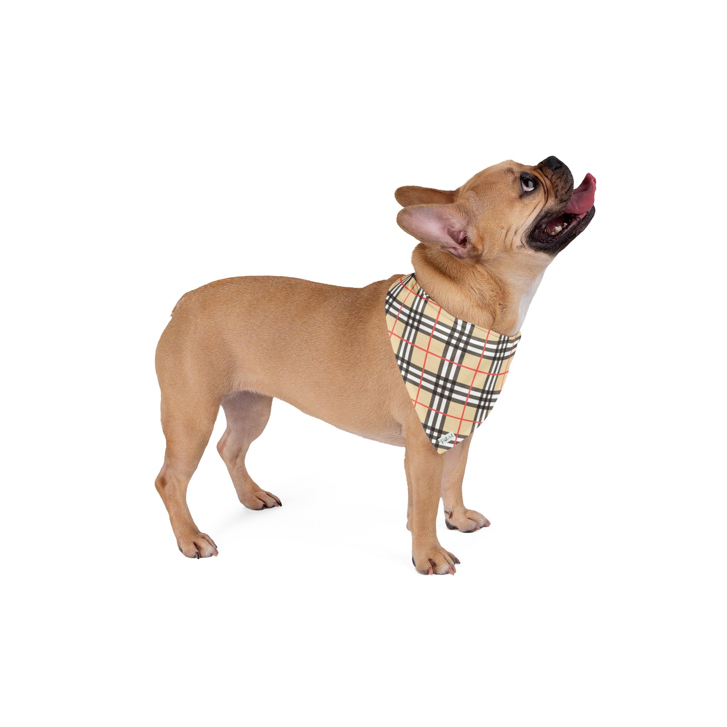 Chic Pup Plaid Bandana