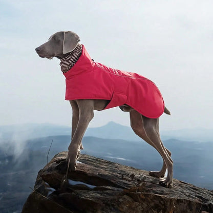 Puffletail All-Weather Adventure Coat - RED