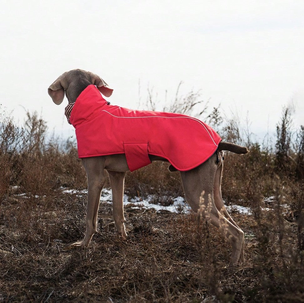 Puffletail All-Weather Adventure Coat - RED
