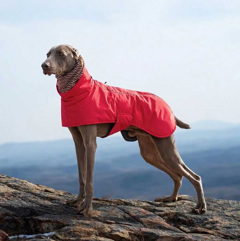 Puffletail All-Weather Adventure Coat - RED