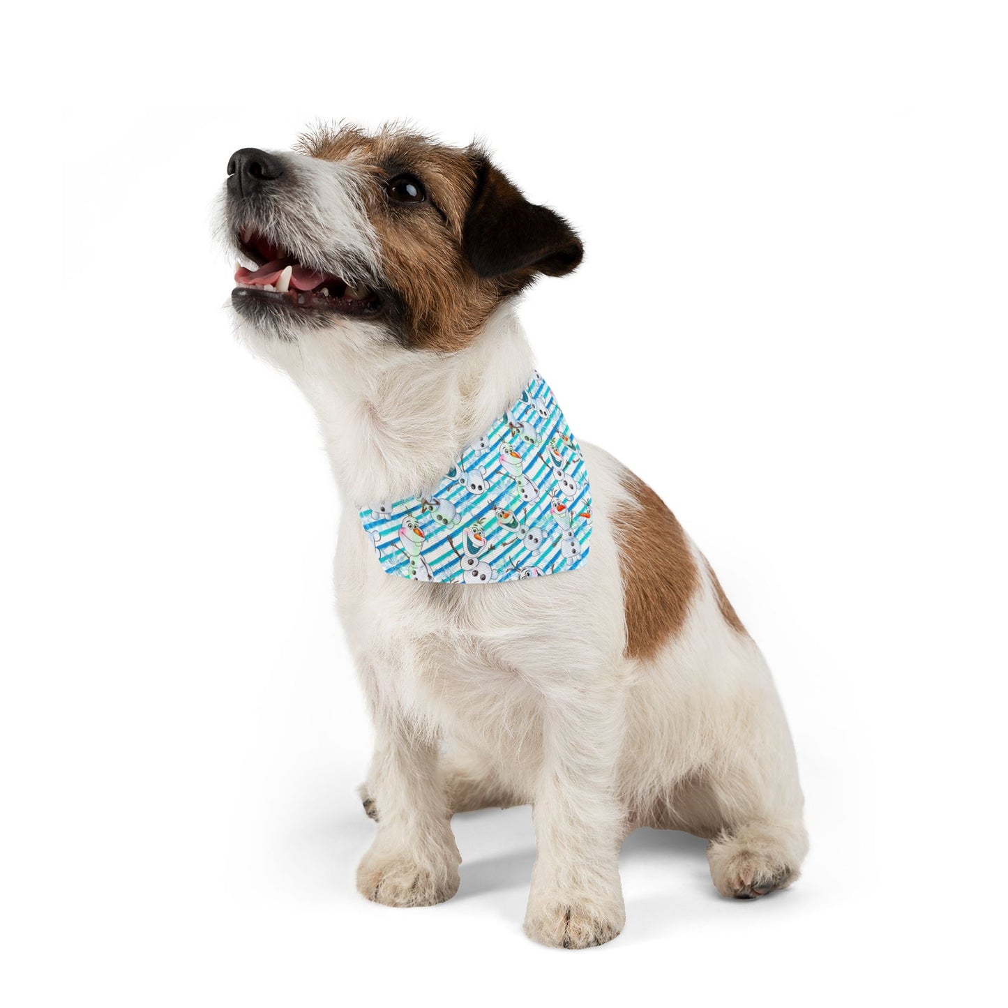 Olaf Collar-Bandana
