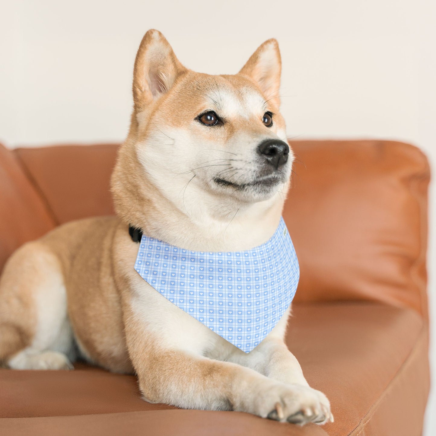 Sky Blue Serenity Collar-Bandana