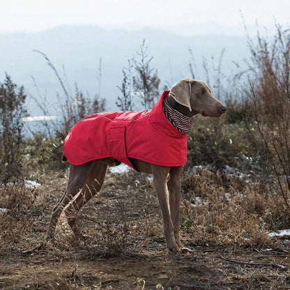 Puffletail All-Weather Adventure Coat - RED