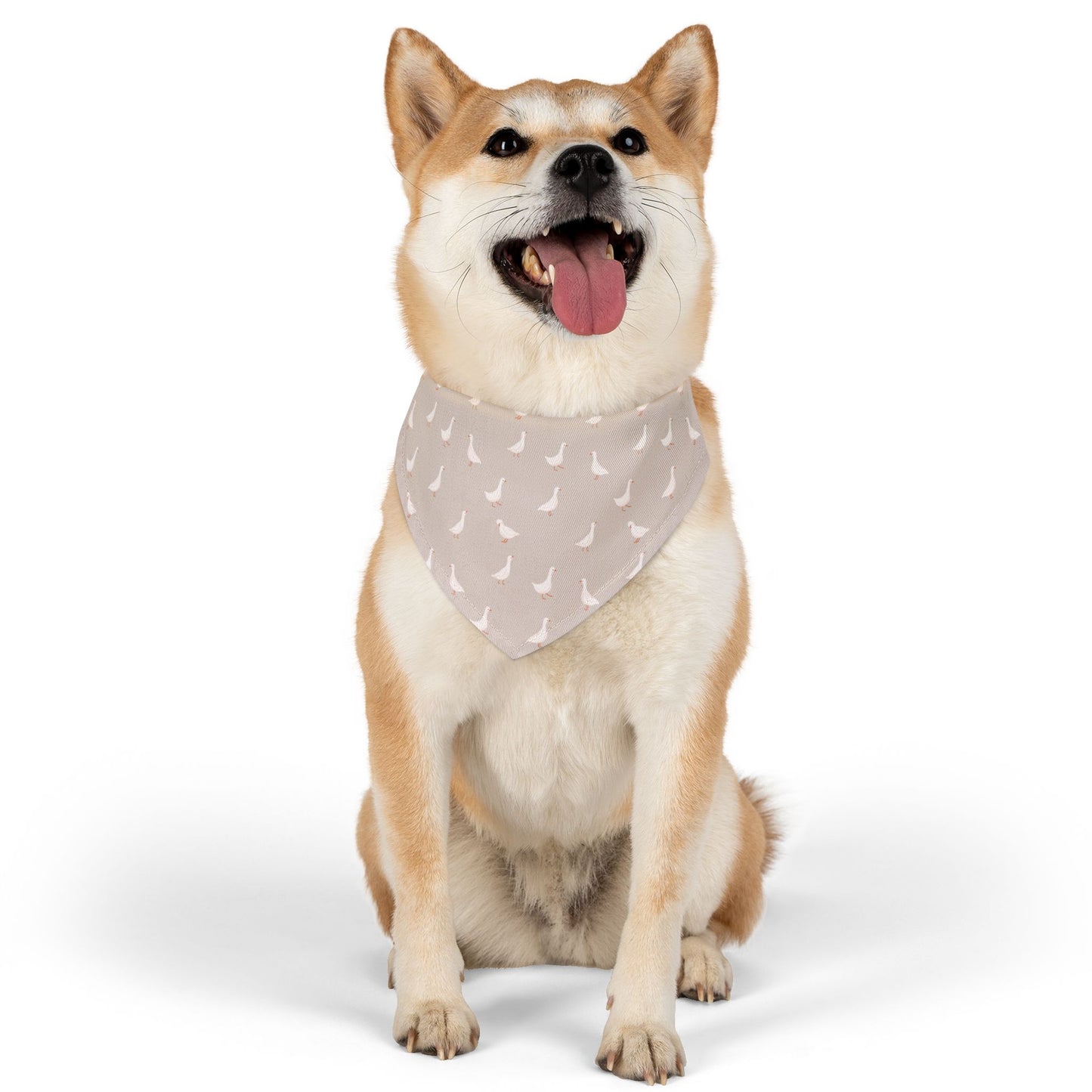 Silly Goose Club Collar-Bandana