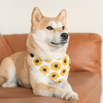 Sunny pup  Collar-Bandana