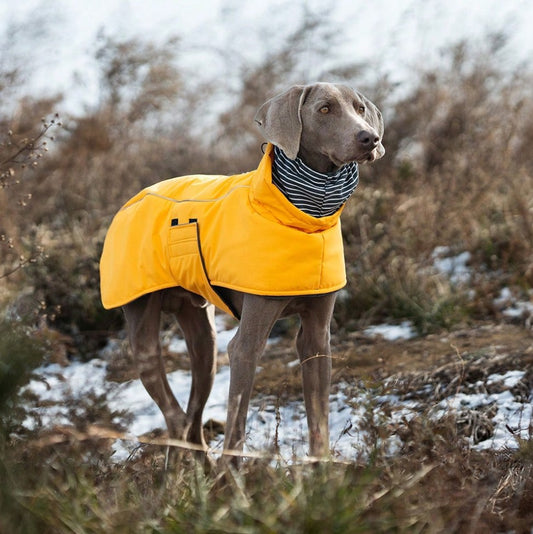 Puffletail All-Weather Adventure Coat