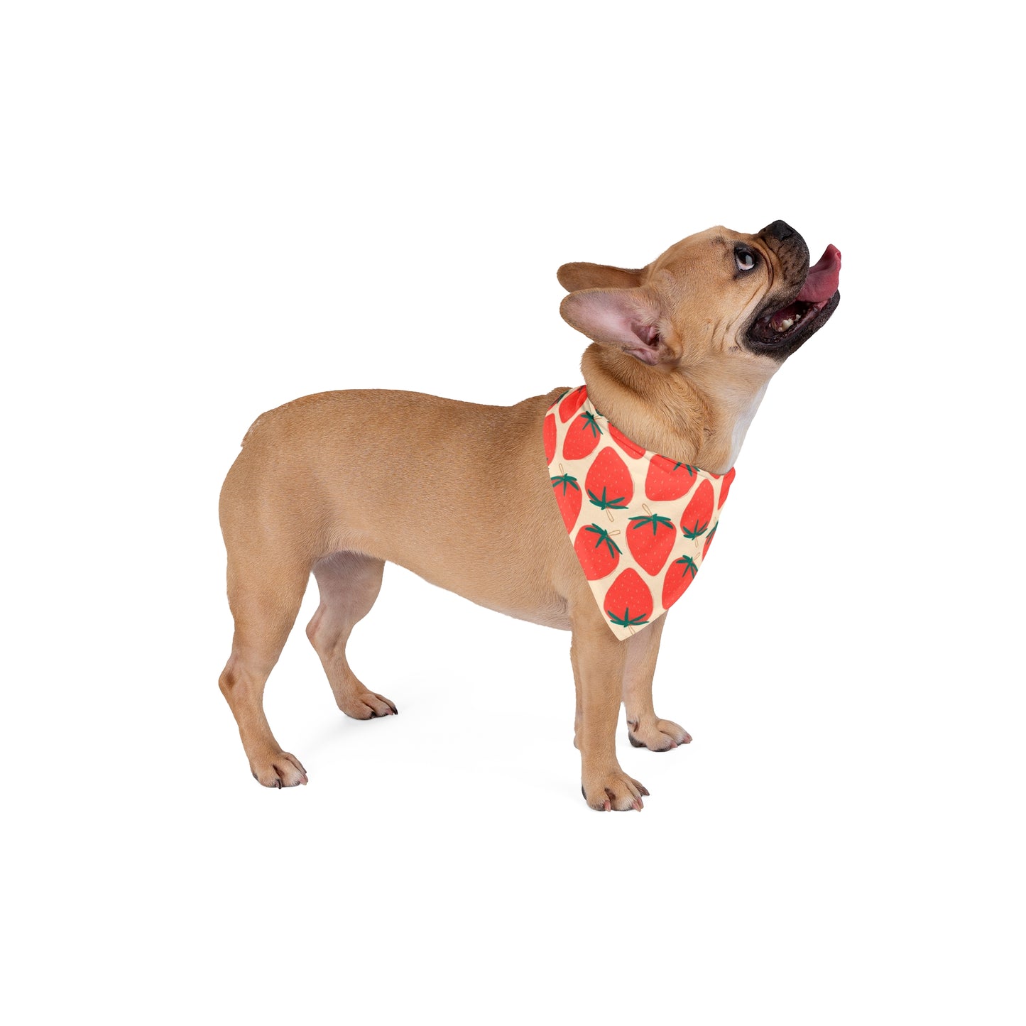 Strawberry Delights Bandana