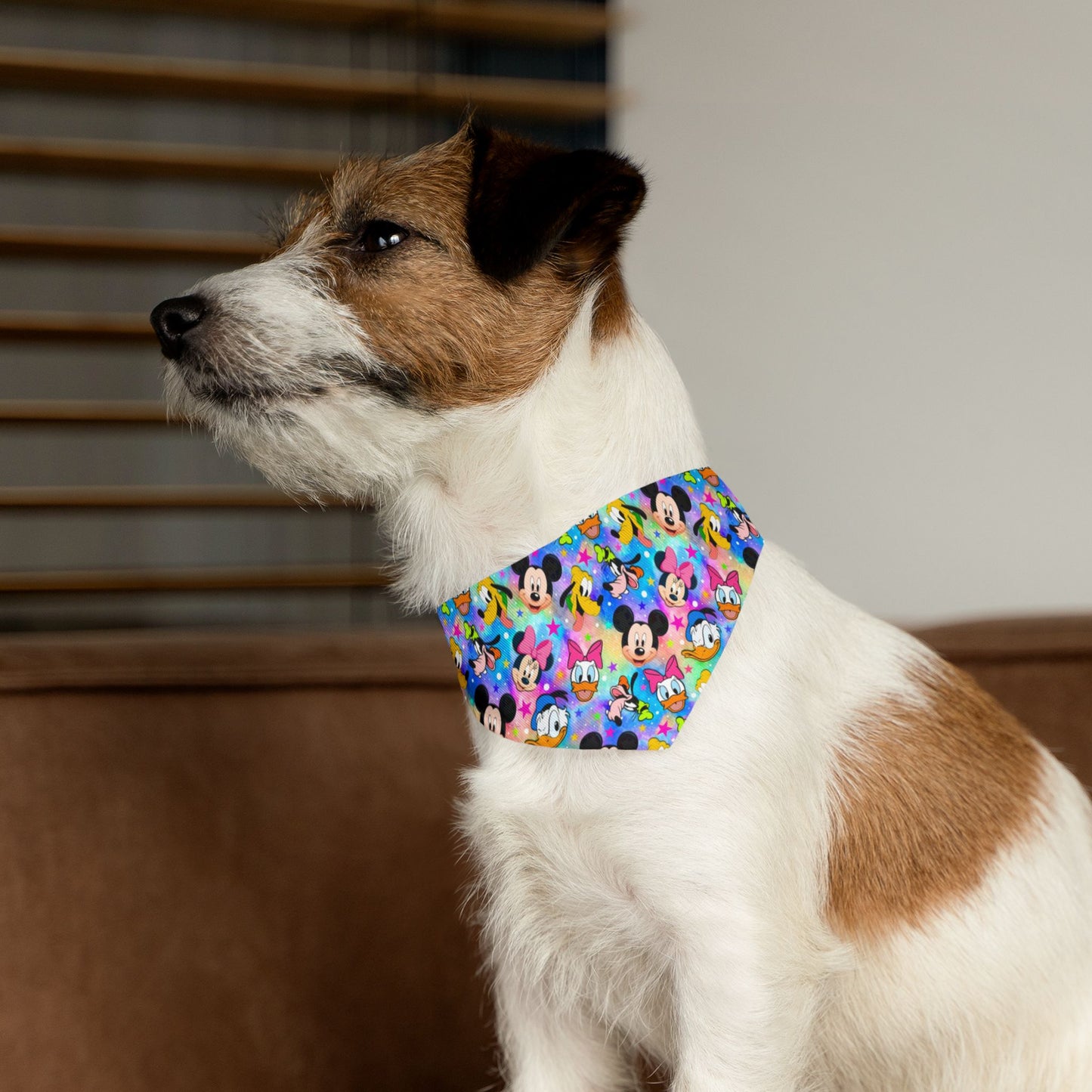 Disney Vibe Collar-Bandana