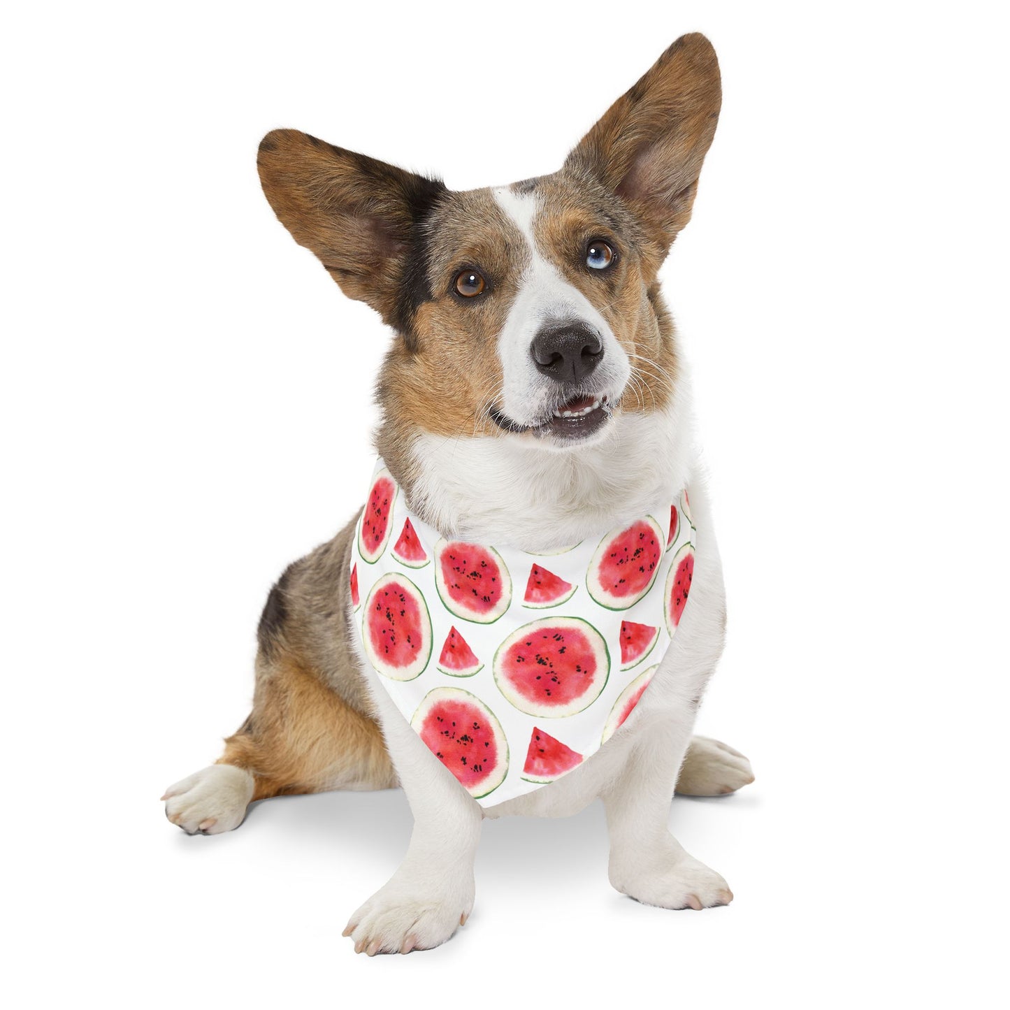 Sweet Melon Bliss Collar-Bandana