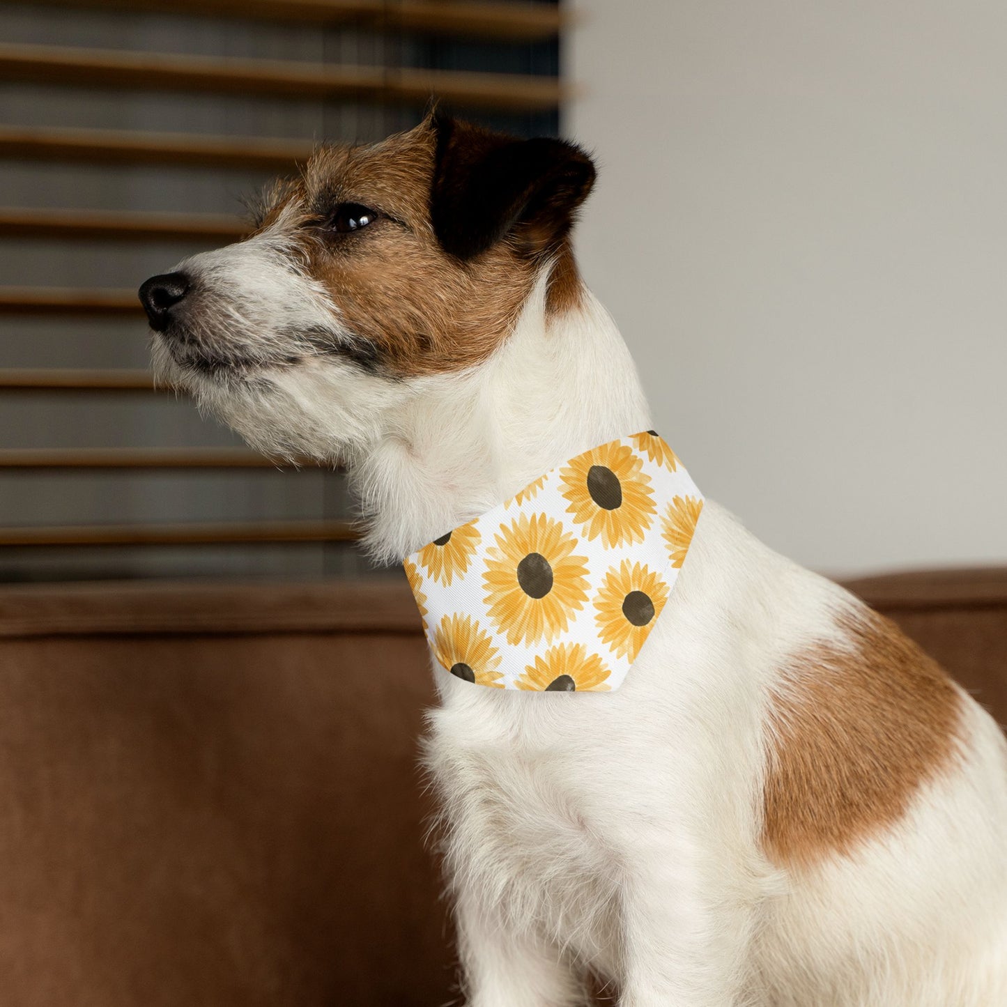 Sunny pup  Collar-Bandana
