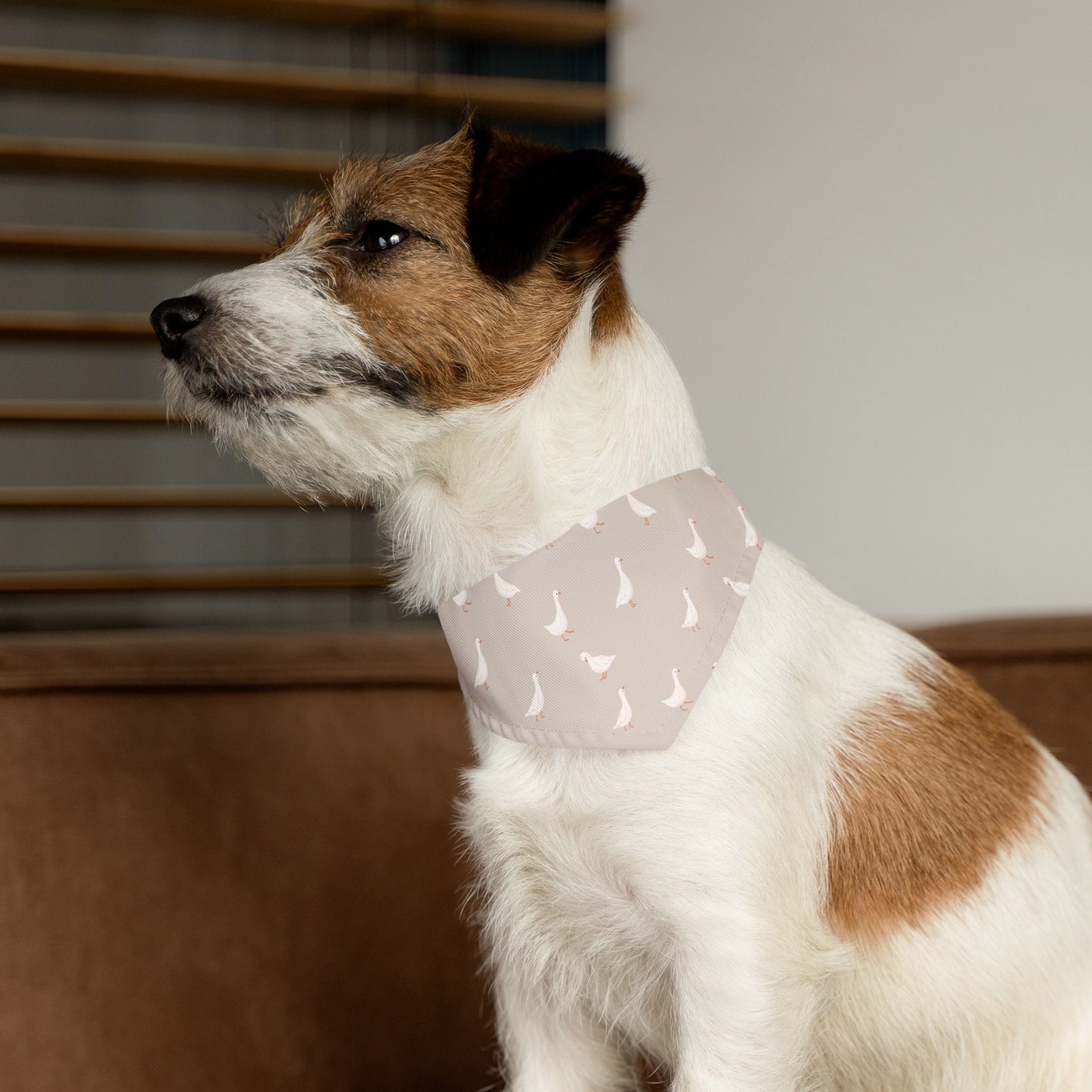 Silly Goose Club Collar-Bandana