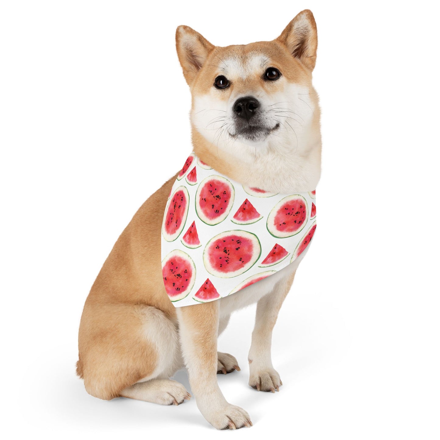 Sweet Melon Bliss Collar-Bandana