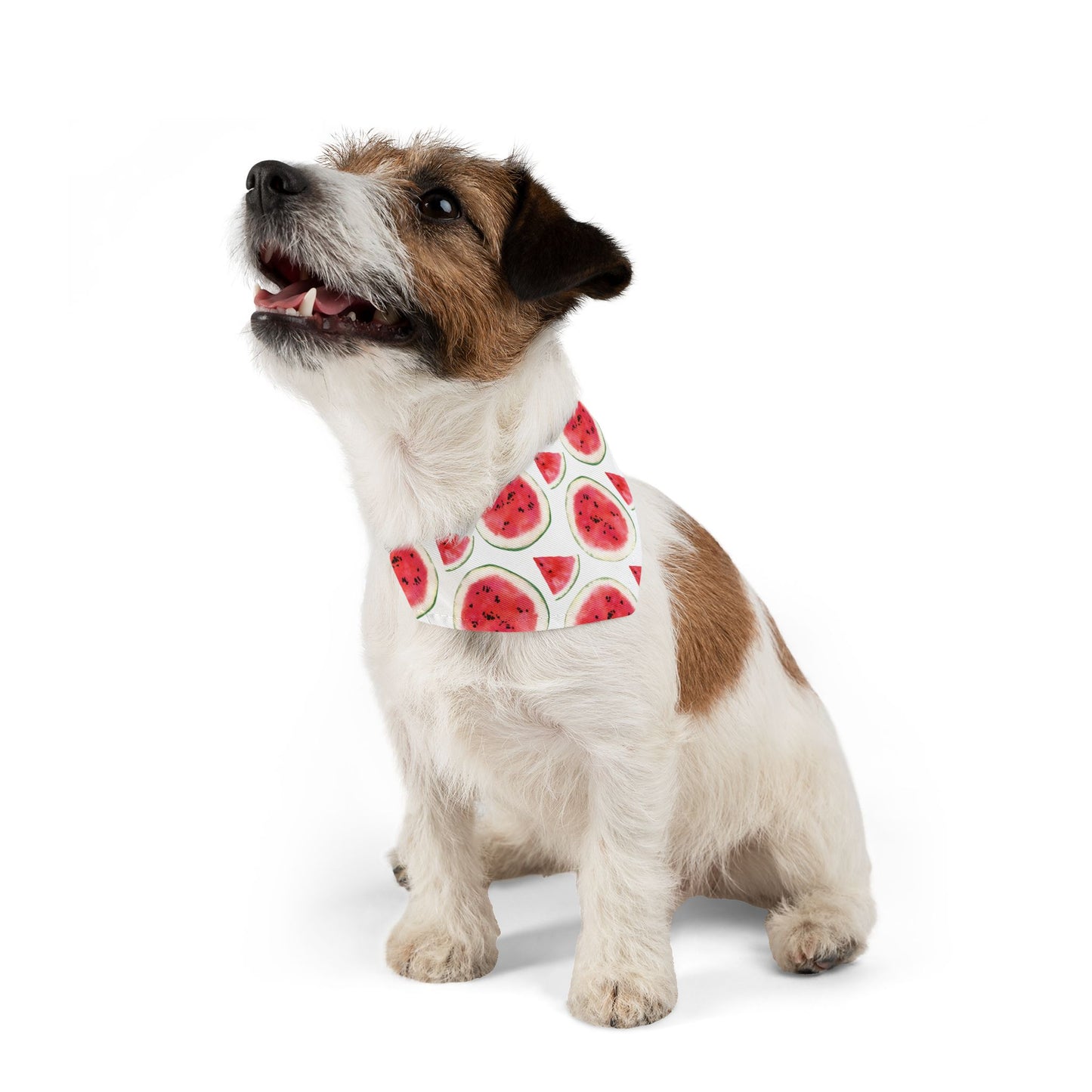 Sweet Melon Bliss Collar-Bandana