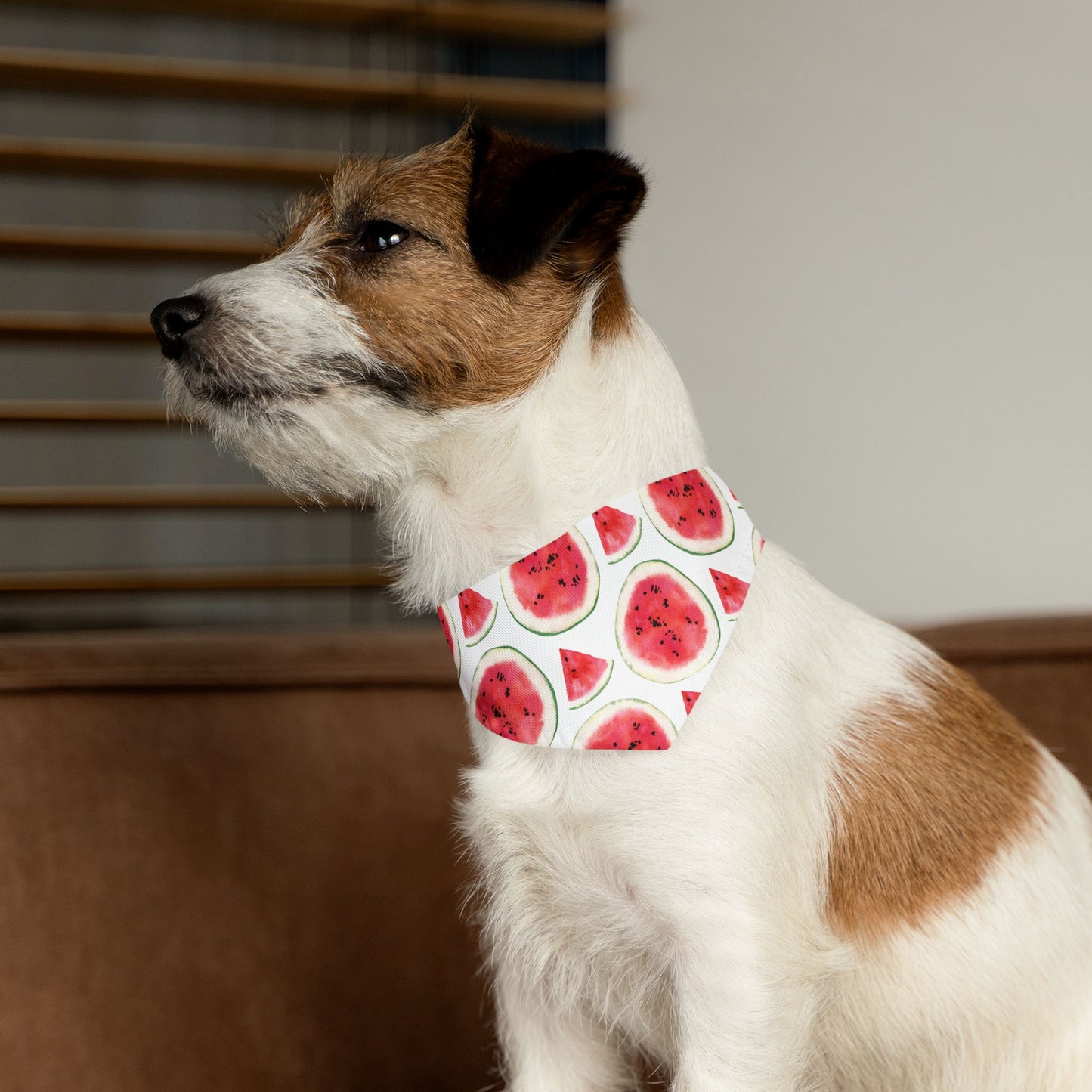 Sweet Melon Bliss Collar-Bandana
