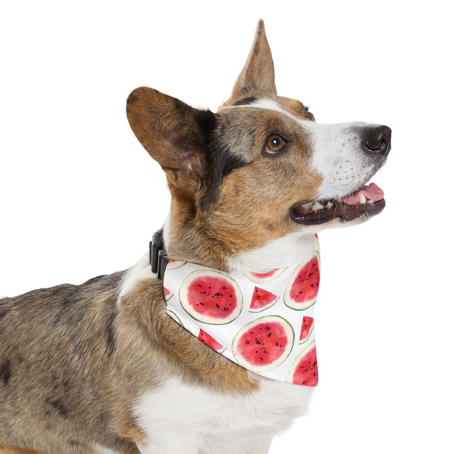 Sweet Melon Bliss Collar-Bandana