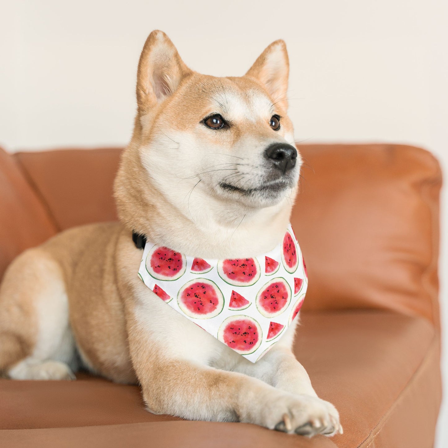 Sweet Melon Bliss Collar-Bandana
