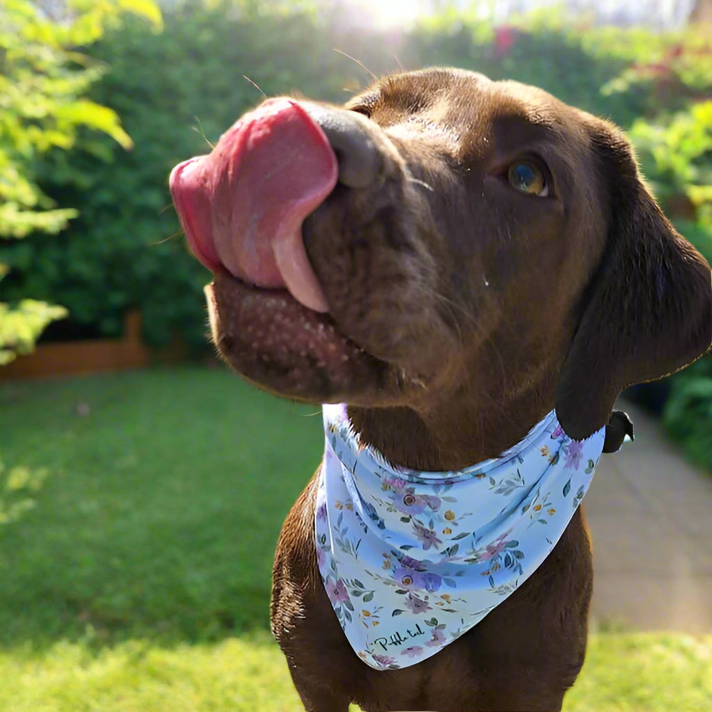 🌿 Lavender Bloom Bandana 💜